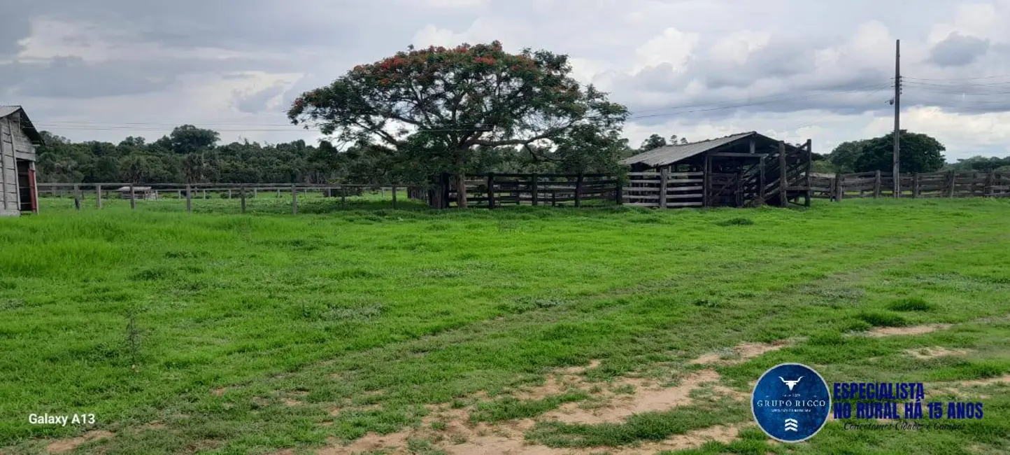 Foto 5 de Fazenda / Haras à venda, 114m2 em Araguaiana - MT