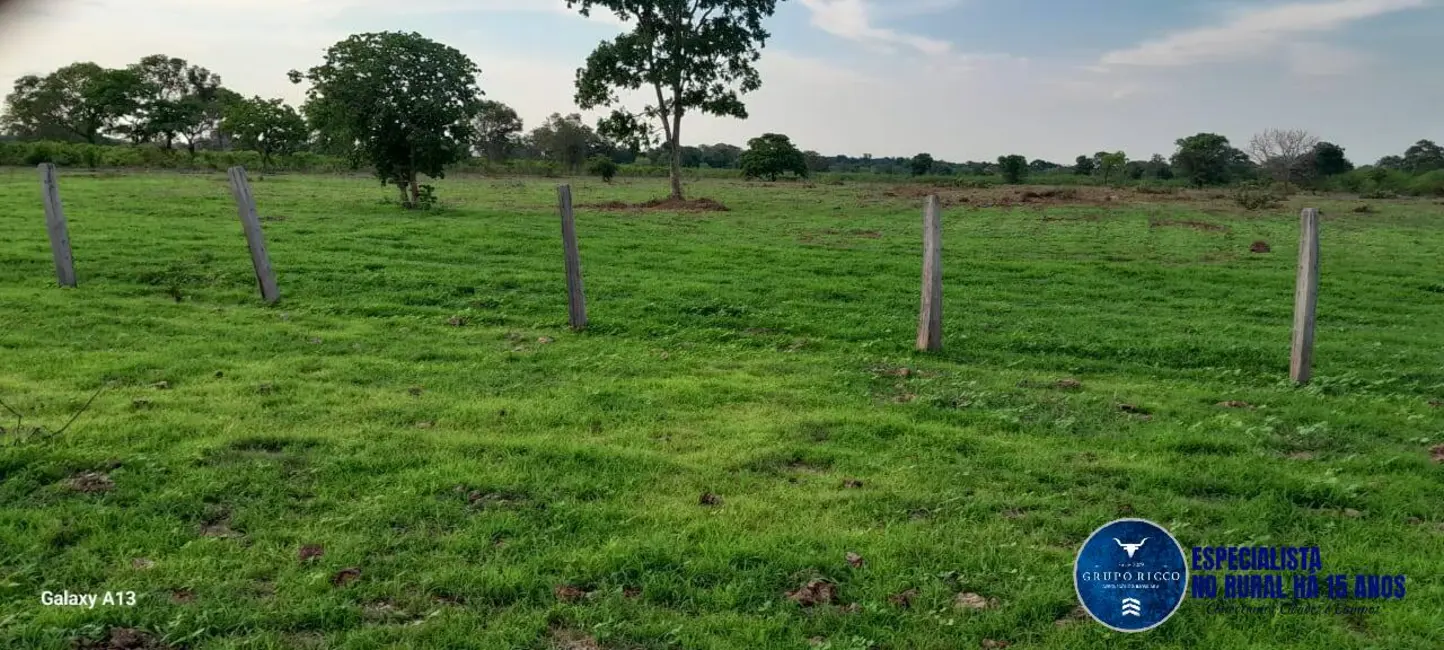 Foto 6 de Fazenda / Haras à venda, 114m2 em Araguaiana - MT
