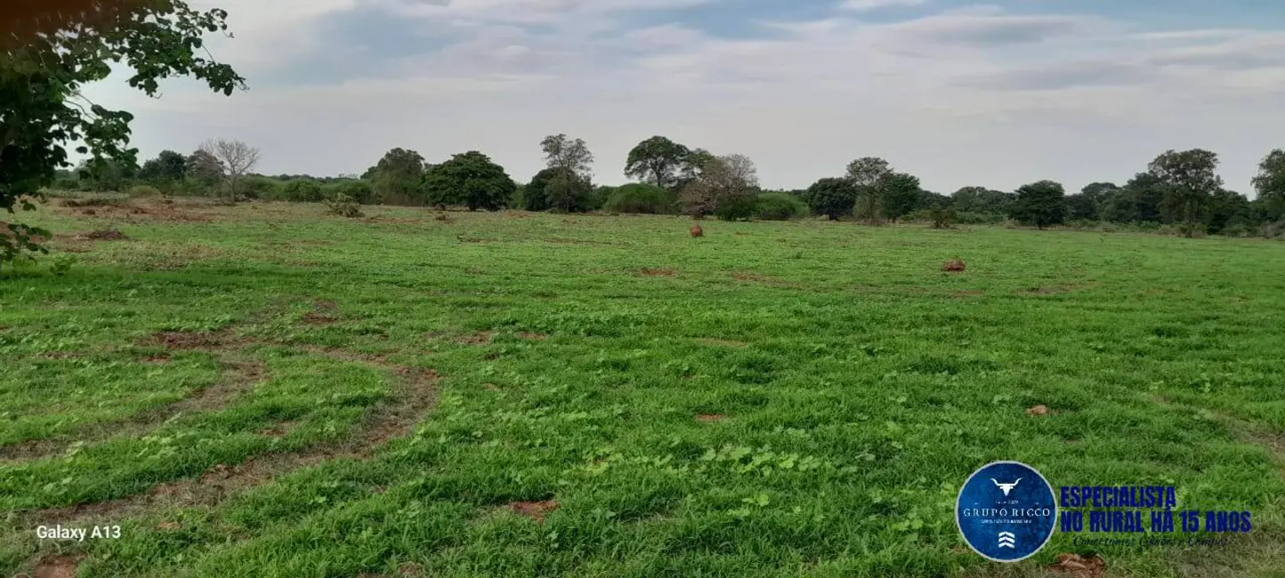 Foto 3 de Fazenda / Haras à venda, 114m2 em Araguaiana - MT