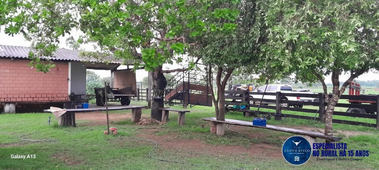 Foto 2 de Fazenda / Haras à venda, 114m2 em Araguaiana - MT