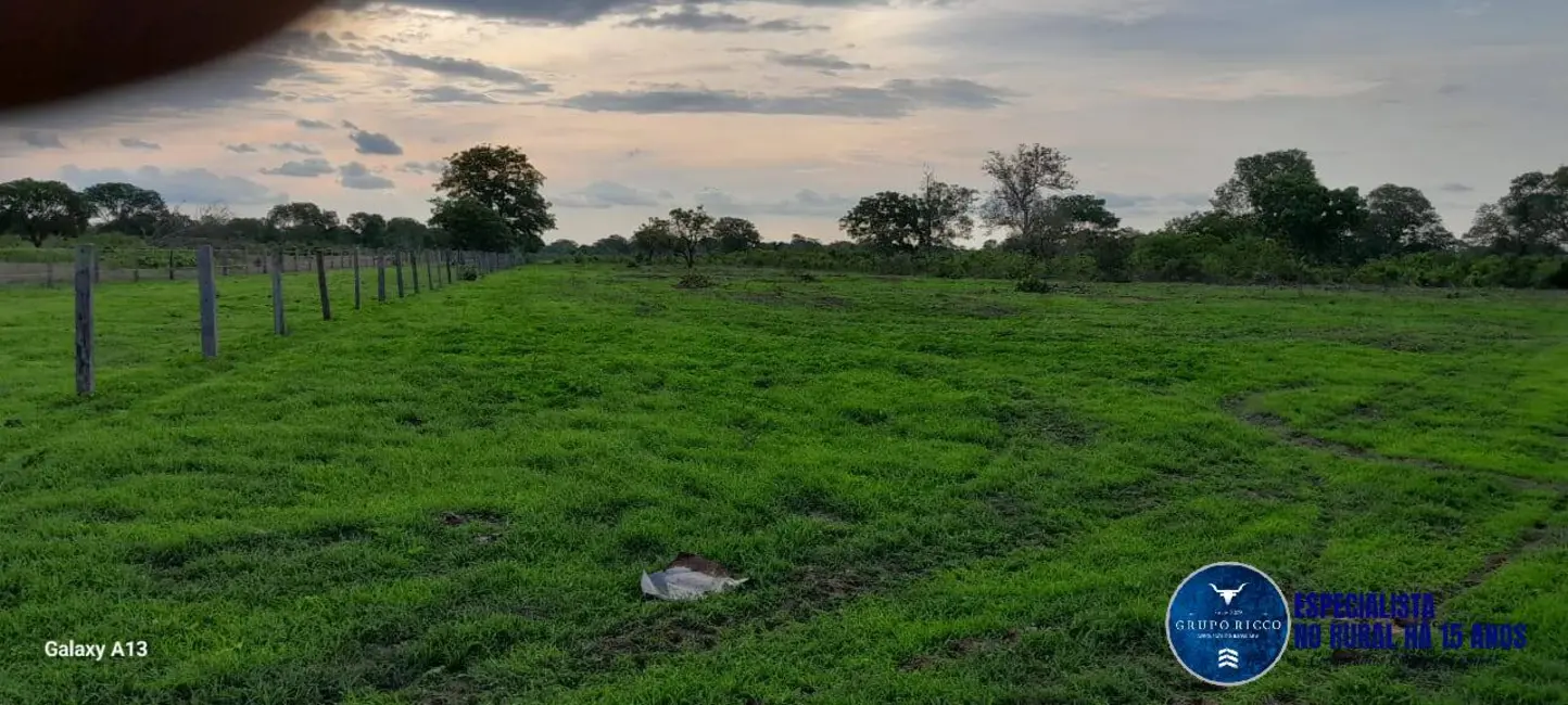 Foto 4 de Fazenda / Haras à venda, 114m2 em Araguaiana - MT