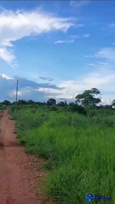 Foto 2 de Fazenda / Haras à venda, 773m2 em Araguaiana - MT