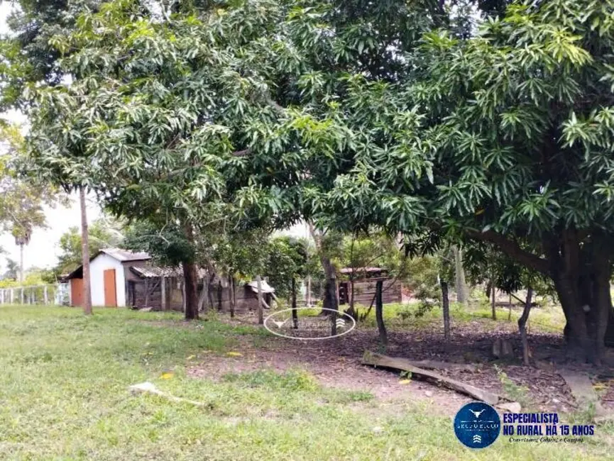 Foto 2 de Sítio / Rancho à venda, 22m2 em Ipora - GO