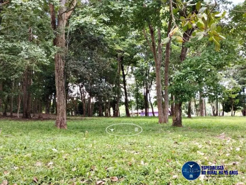 Sítio / Rancho à venda, 22m2 em Ipora - GO - imagem 3 Foto 3 de Sítio / Rancho à venda, 22m2 em Ipora - GO