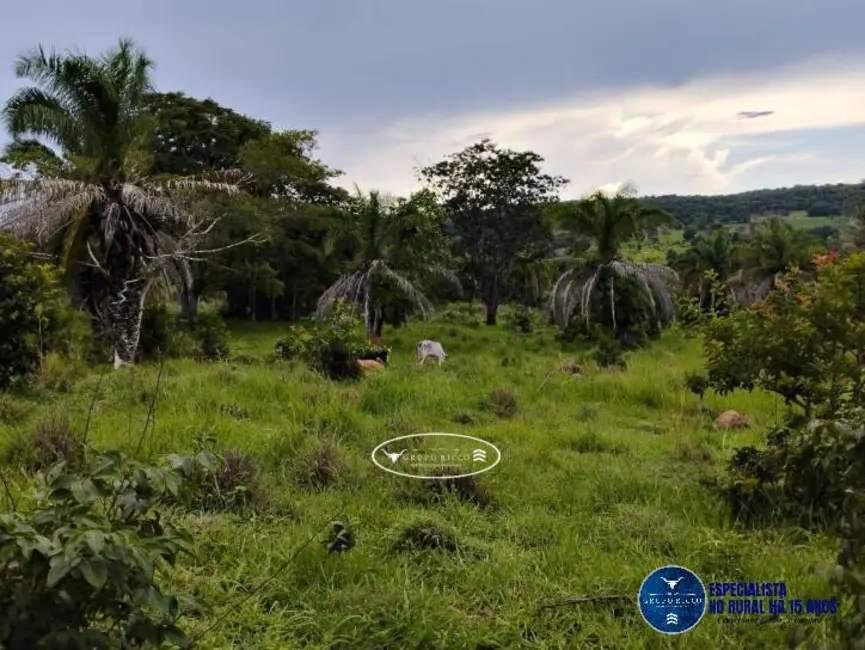 Sítio / Rancho à venda, 22m2 em Ipora - GO - imagem 4 Foto 4 de Sítio / Rancho à venda, 22m2 em Ipora - GO