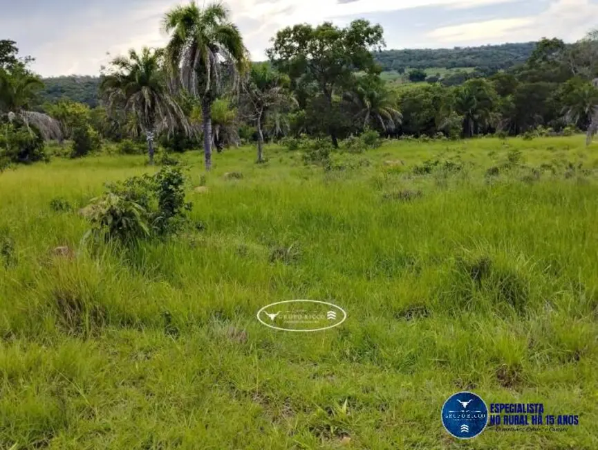 Sítio / Rancho à venda, 22m2 em Ipora - GO - imagem 6 Foto 6 de Sítio / Rancho à venda, 22m2 em Ipora - GO