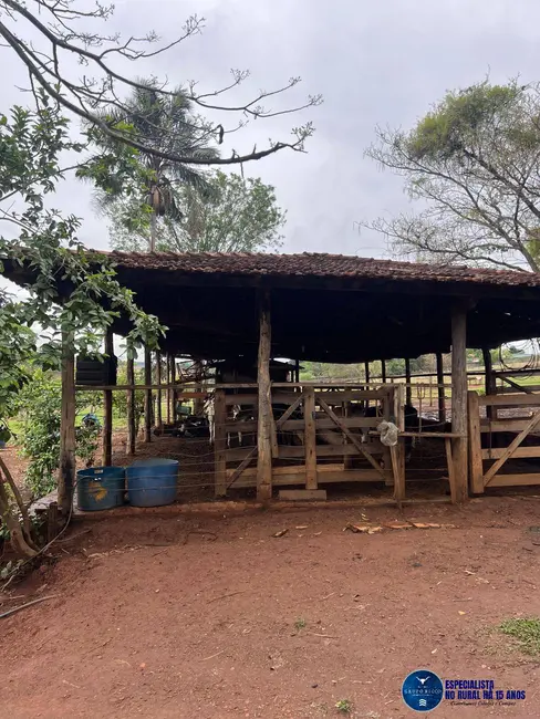 Chácara à venda em Anapolis - GO - imagem 5 Foto 5 de Chácara à venda em Anapolis - GO