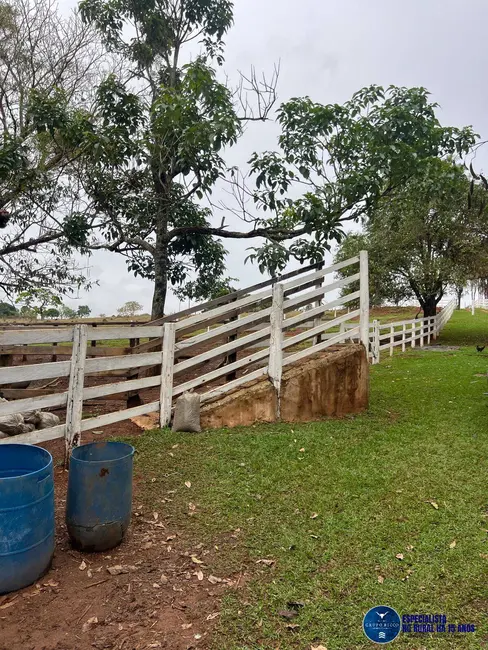 Chácara à venda em Anapolis - GO - imagem 4 Foto 4 de Chácara à venda em Anapolis - GO