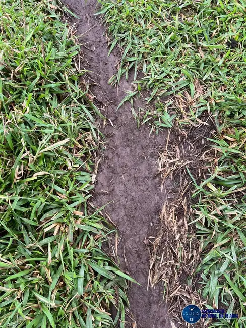 Foto 15 de Chácara à venda, 12m2 em Abadiania - GO