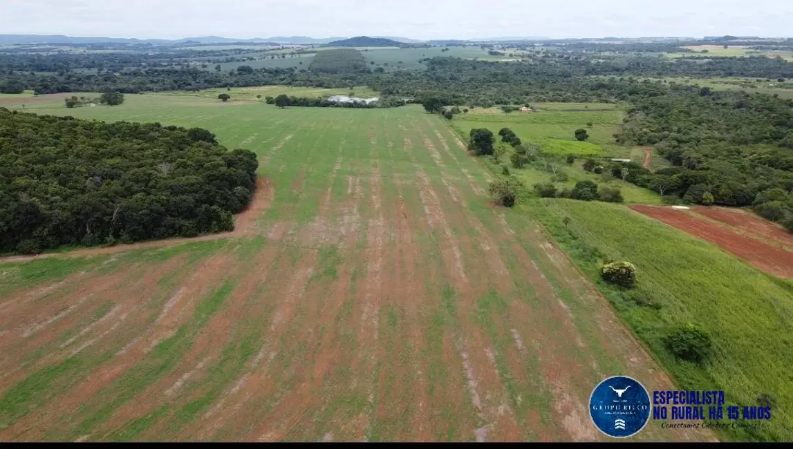 Foto 7 de Fazenda / Haras à venda, 30m2 em Guapo - GO