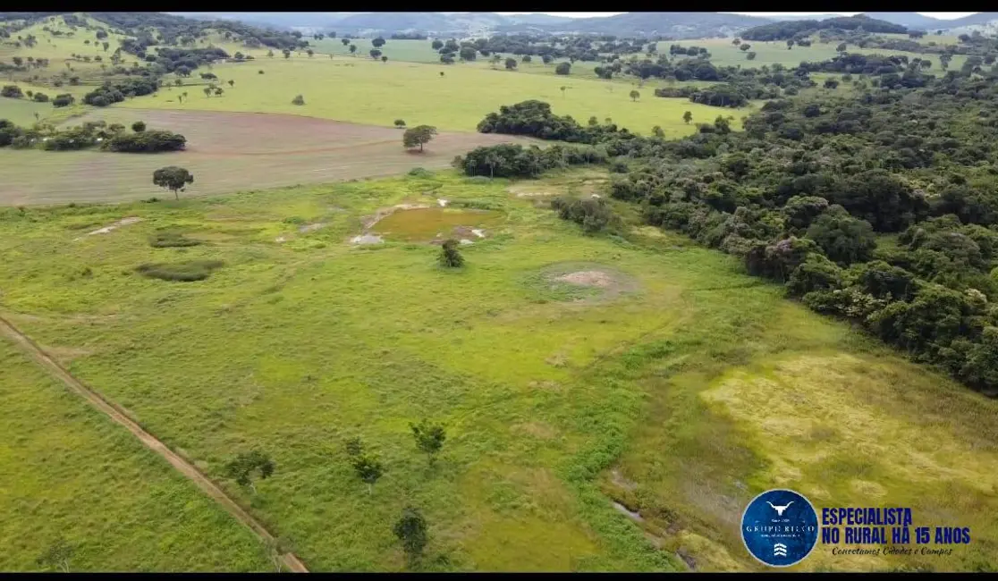 Foto 9 de Fazenda / Haras à venda, 30m2 em Guapo - GO