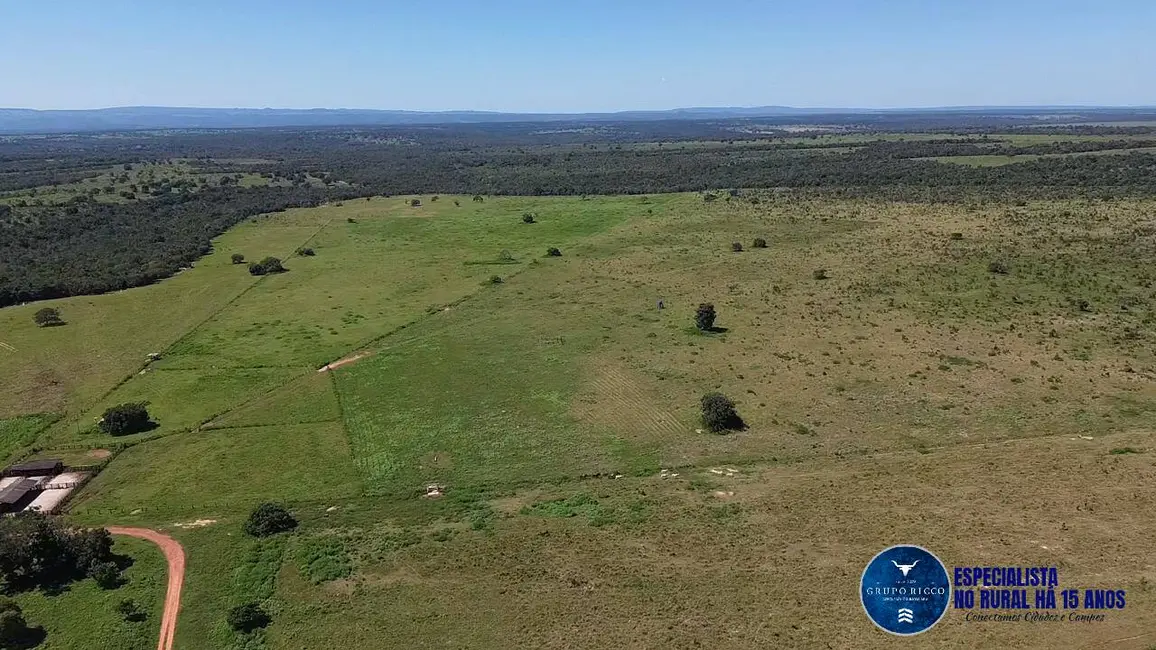 Foto 9 de Fazenda / Haras à venda, 538m2 em Pontal Do Araguaia - MT