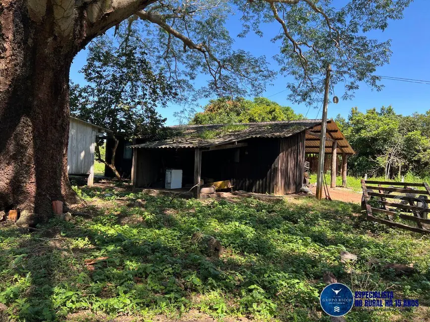 Foto 8 de Fazenda / Haras à venda, 538m2 em Pontal Do Araguaia - MT