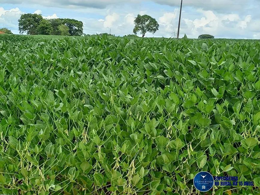 Fazenda / Haras à venda, 60m2 em Itaberai - GO - imagem 4 Foto 4 de Fazenda / Haras à venda, 60m2 em Itaberai - GO