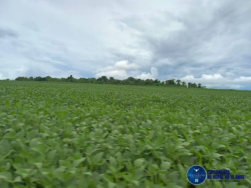 Fazenda / Haras à venda, 60m2 em Itaberai - GO - imagem 5 Foto 5 de Fazenda / Haras à venda, 60m2 em Itaberai - GO