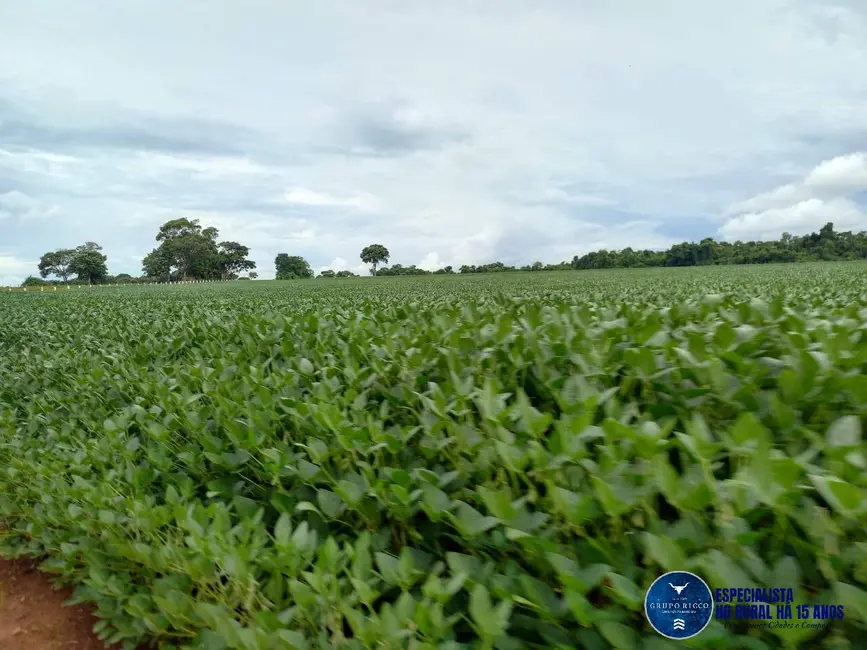 Fazenda / Haras à venda, 60m2 em Itaberai - GO - imagem 2 Foto 2 de Fazenda / Haras à venda, 60m2 em Itaberai - GO