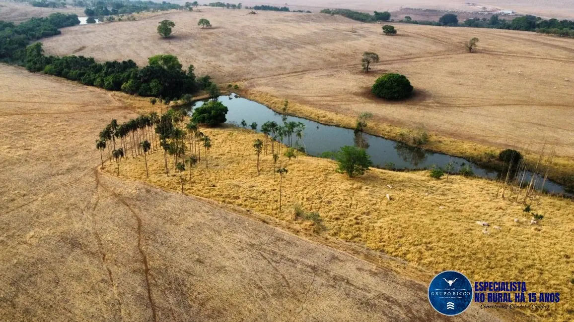 Foto 1 de Fazenda / Haras à venda, 40m2 em Ipameri - GO