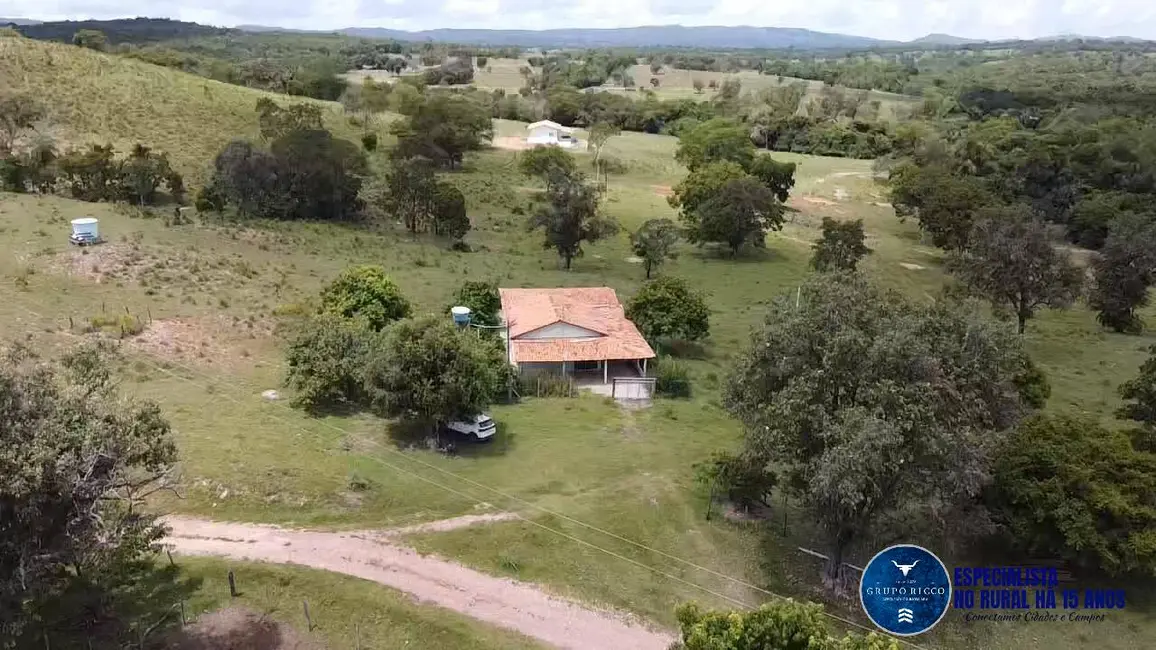 Foto 2 de Fazenda / Haras à venda, 143m2 em Matrincha - GO