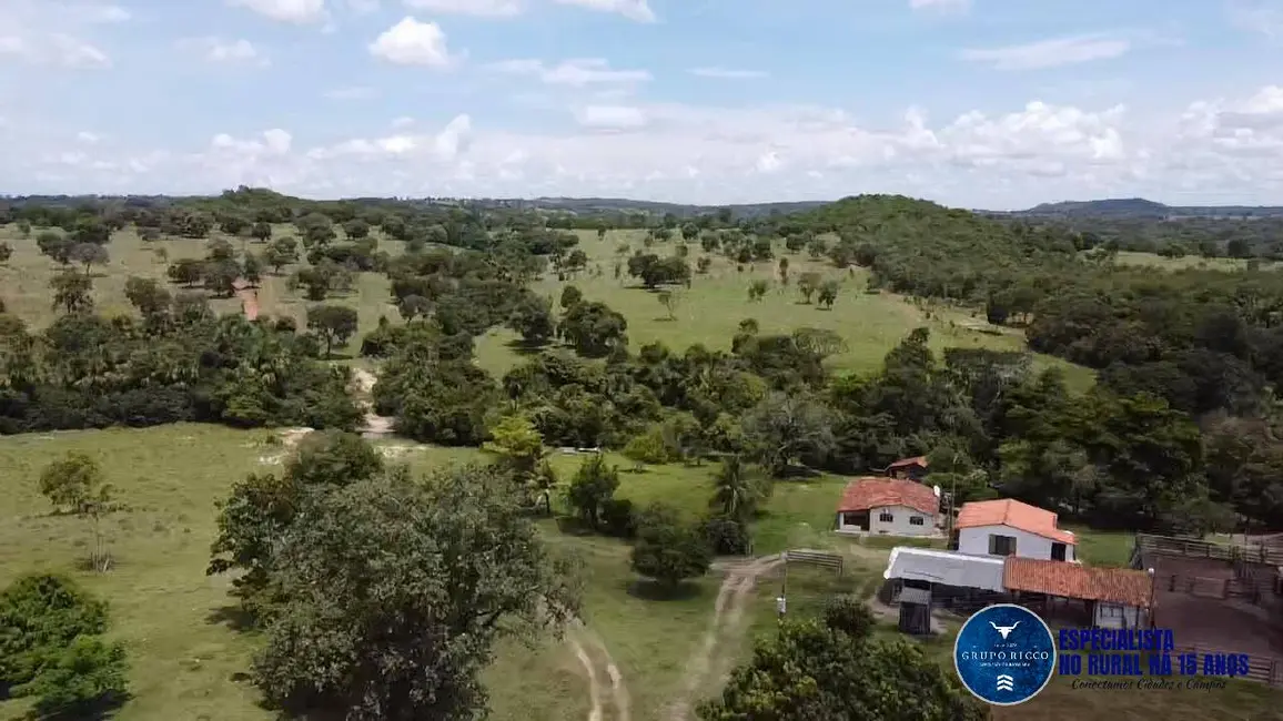 Foto 3 de Fazenda / Haras à venda, 143m2 em Matrincha - GO