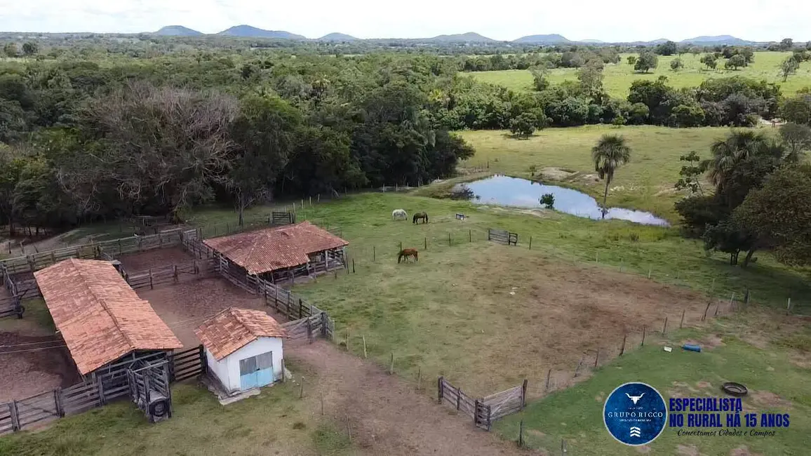 Foto 5 de Fazenda / Haras à venda, 143m2 em Matrincha - GO