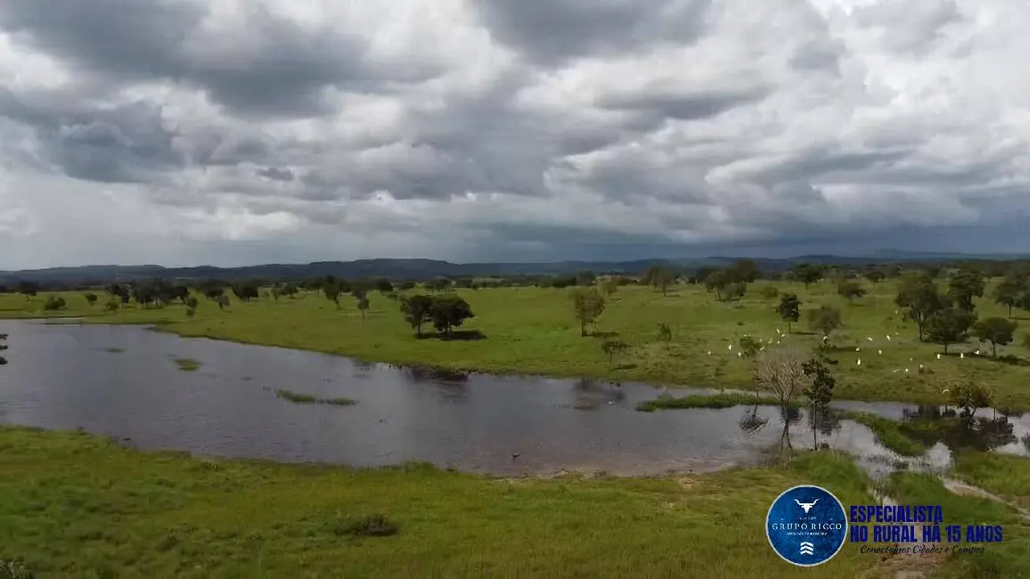 Foto 6 de Fazenda / Haras à venda, 143m2 em Matrincha - GO