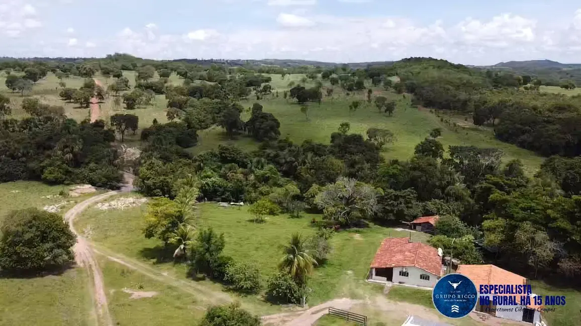 Foto 7 de Fazenda / Haras à venda, 143m2 em Matrincha - GO