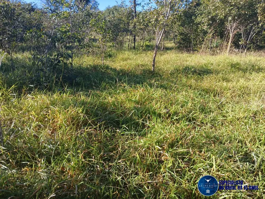 Foto 2 de Fazenda / Haras à venda, 53m2 em Morro Agudo De Goias - GO