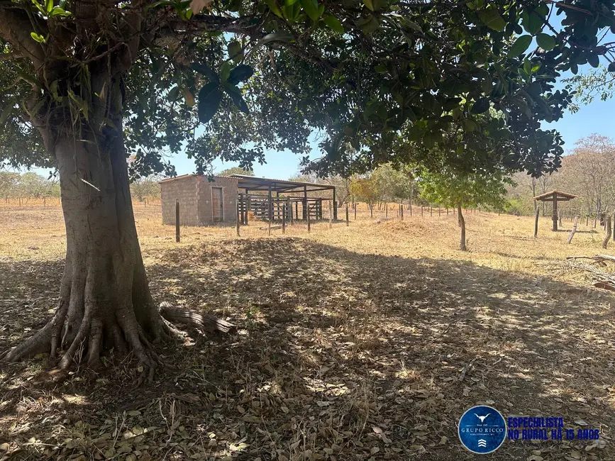 Foto 23 de Chácara à venda, 30000m2 em Guapo - GO