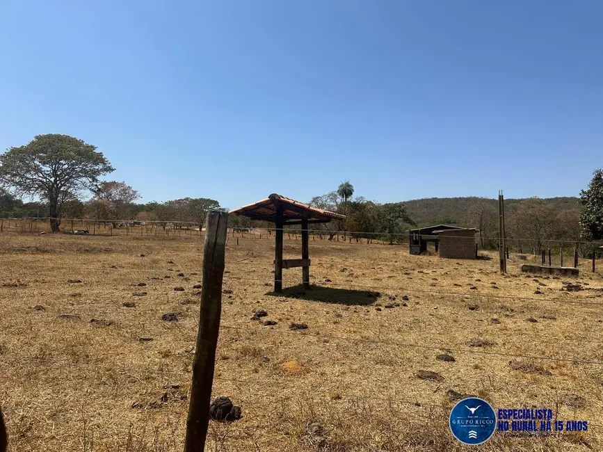 Foto 7 de Chácara à venda, 30000m2 em Guapo - GO