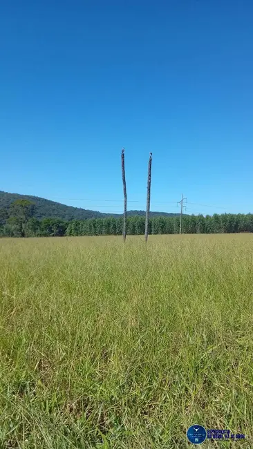 Chácara com 3 quartos à venda em Guapo - GO - imagem 3 Foto 3 de Chácara com 3 quartos à venda em Guapo - GO