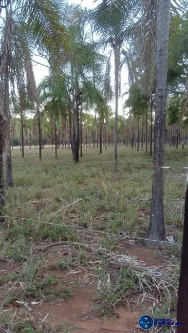 Chácara com 3 quartos à venda em Guapo - GO - imagem 8 Foto 8 de Chácara com 3 quartos à venda em Guapo - GO