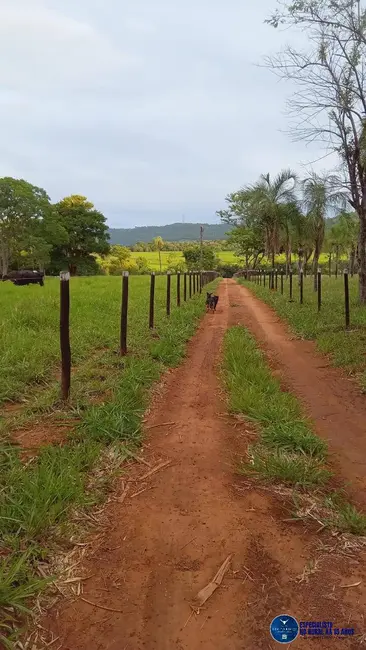 Foto 2 de Chácara à venda em Guapo - GO