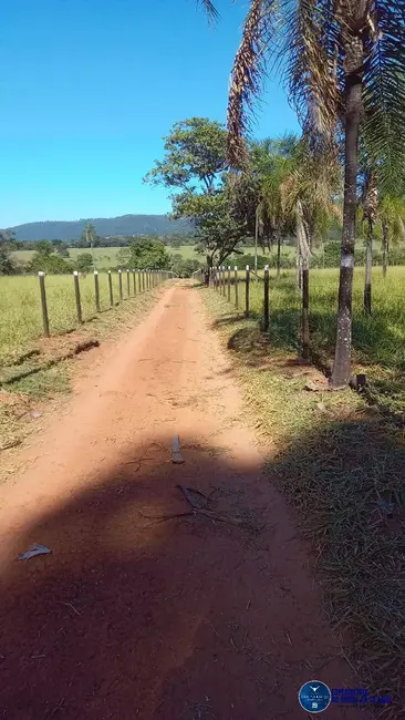 Chácara com 3 quartos à venda em Guapo - GO - imagem 4 Foto 4 de Chácara com 3 quartos à venda em Guapo - GO