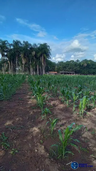 Chácara com 3 quartos à venda em Guapo - GO - imagem 9 Foto 9 de Chácara com 3 quartos à venda em Guapo - GO