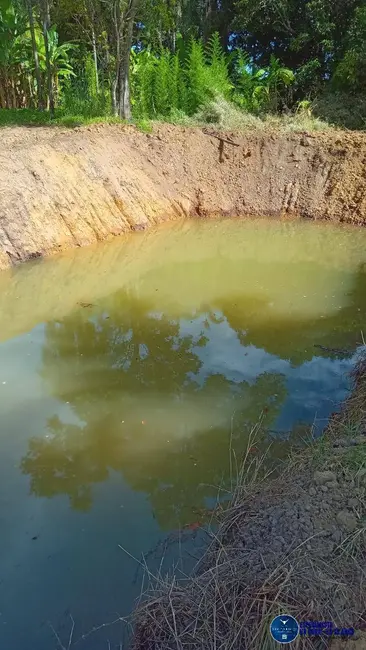 Chácara com 3 quartos à venda em Guapo - GO - imagem 6 Foto 6 de Chácara com 3 quartos à venda em Guapo - GO