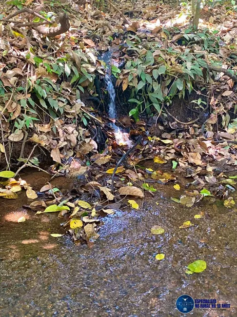 Foto 2 de Chácara à venda, 27500m2 em Bela Vista De Goias - GO