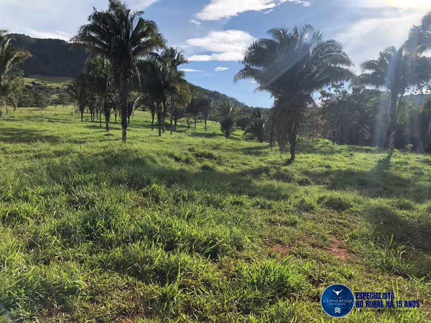 Foto 8 de Fazenda / Haras à venda, 125m2 em Cocalzinho De Goias - GO