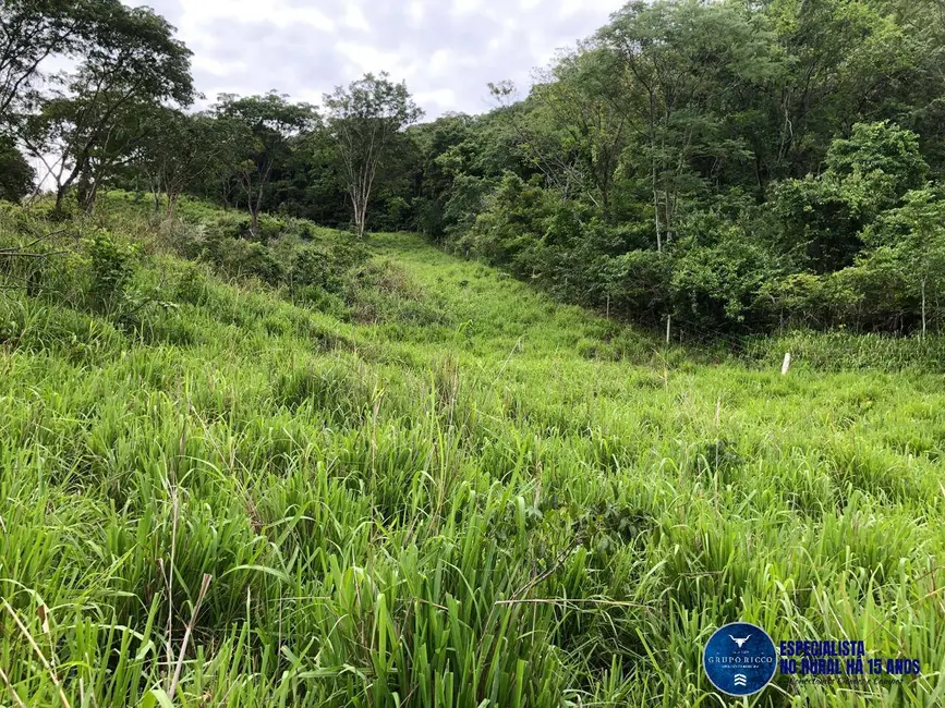Foto 6 de Fazenda / Haras à venda, 125m2 em Cocalzinho De Goias - GO