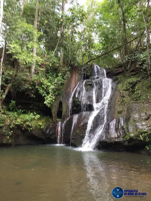 Foto 9 de Fazenda / Haras à venda, 125m2 em Cocalzinho De Goias - GO