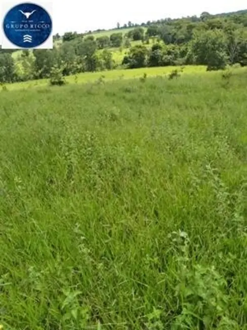 Foto 2 de Chácara à venda, 8m2 em Anicuns - GO