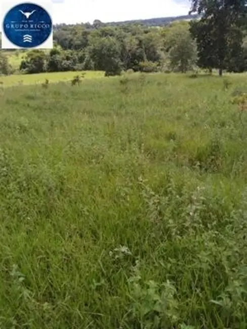 Foto 1 de Chácara à venda, 8m2 em Anicuns - GO