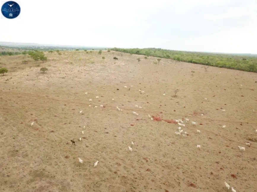 Foto 2 de Fazenda / Haras à venda, 551m2 em Novo Sao Joaquim - MT