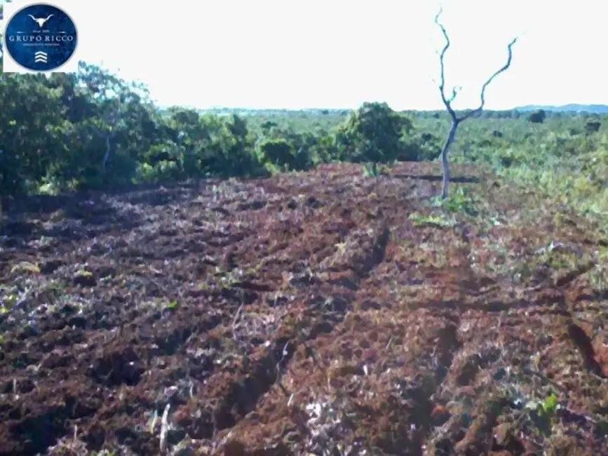 Foto 1 de Fazenda / Haras à venda, 551m2 em Novo Sao Joaquim - MT