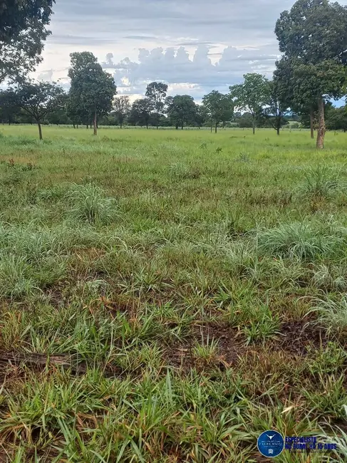 Foto 4 de Fazenda / Haras à venda, 197m2 em Novo Brasil - GO