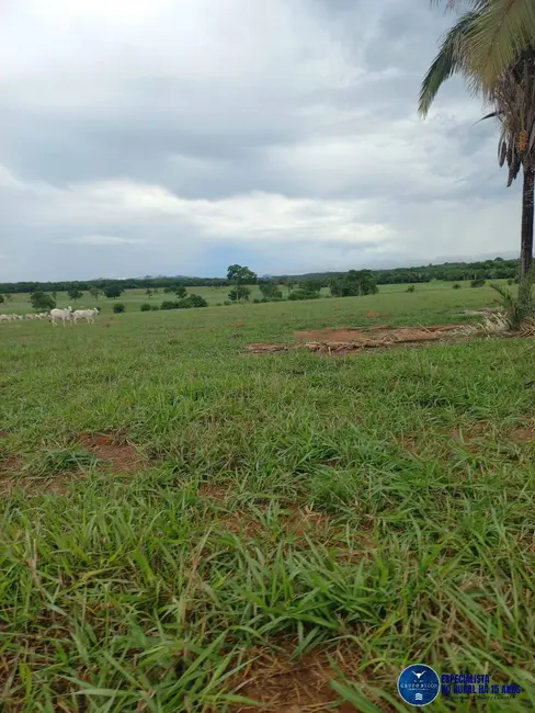 Foto 3 de Fazenda / Haras à venda, 197m2 em Novo Brasil - GO