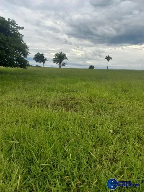 Foto 7 de Fazenda / Haras à venda, 197m2 em Novo Brasil - GO