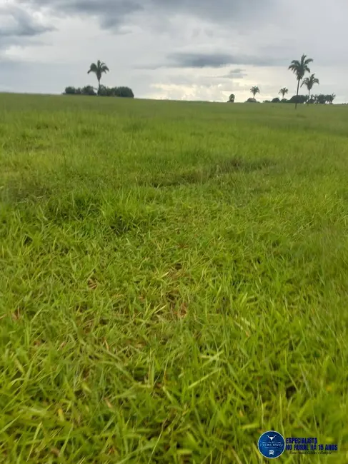 Foto 5 de Fazenda / Haras à venda, 197m2 em Novo Brasil - GO