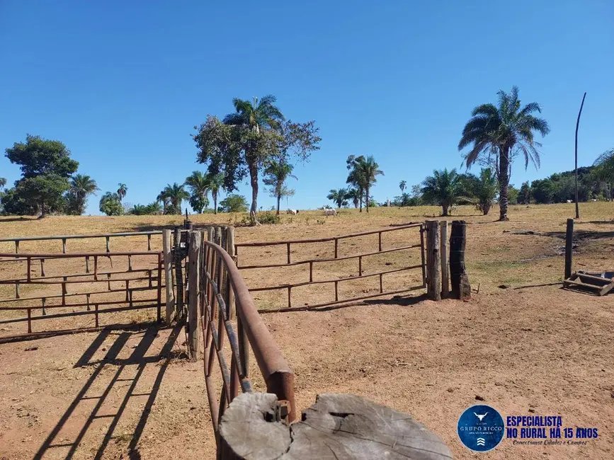 Foto 2 de Fazenda / Haras à venda, 100m2 em Aruana - GO
