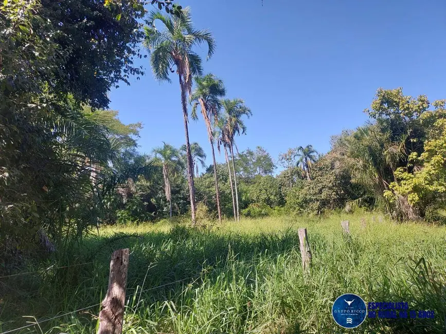 Foto 4 de Fazenda / Haras à venda, 100m2 em Aruana - GO