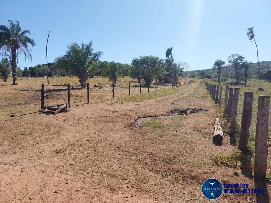 Foto 5 de Fazenda / Haras à venda, 100m2 em Aruana - GO